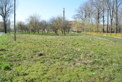 Latem wysyp nowych placów zabaw i miejsc rekreacj
